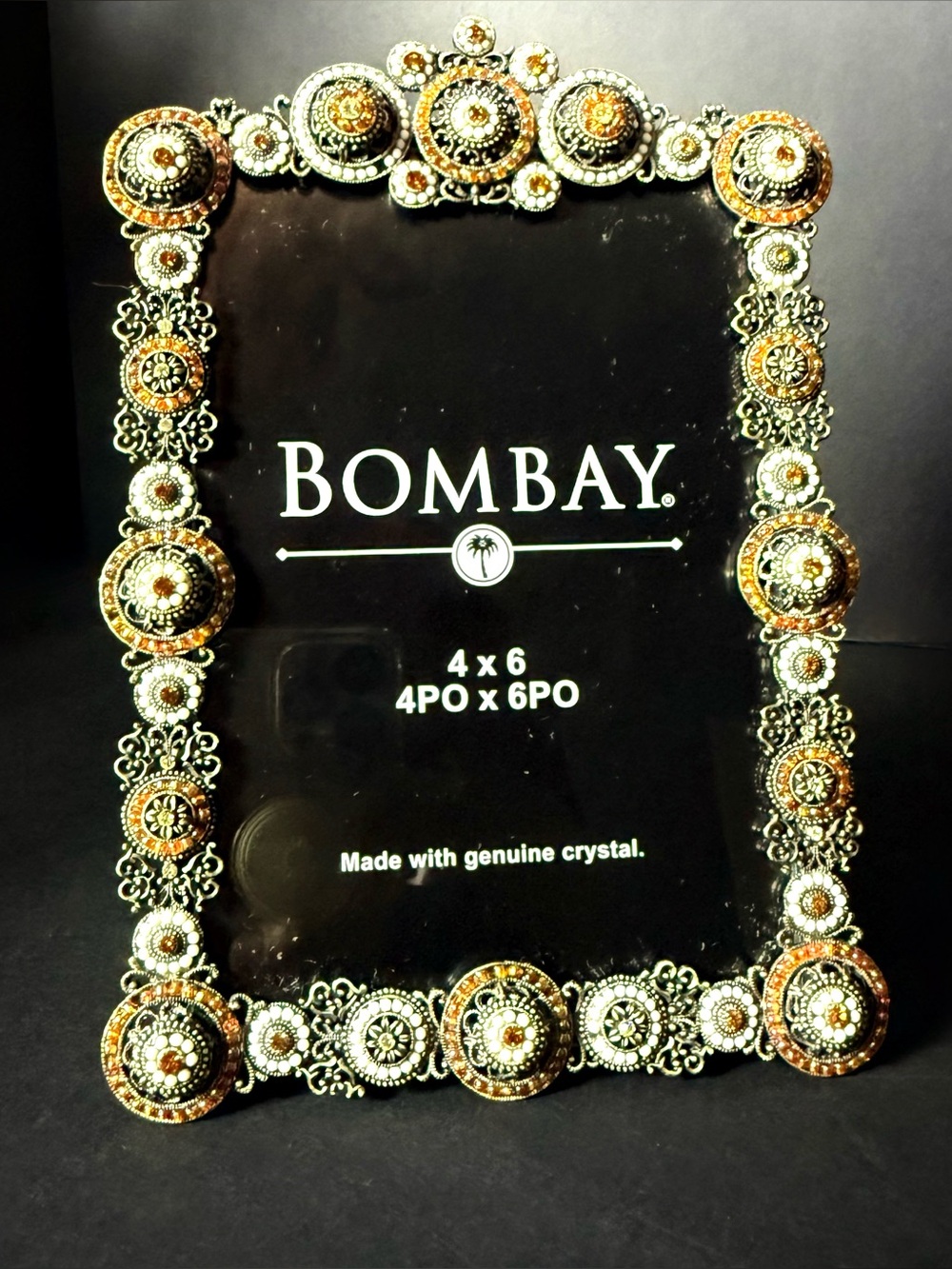 Vintage The Bombay Company 4x6 Crystal  Ornate Art deco Picture Frame New no box